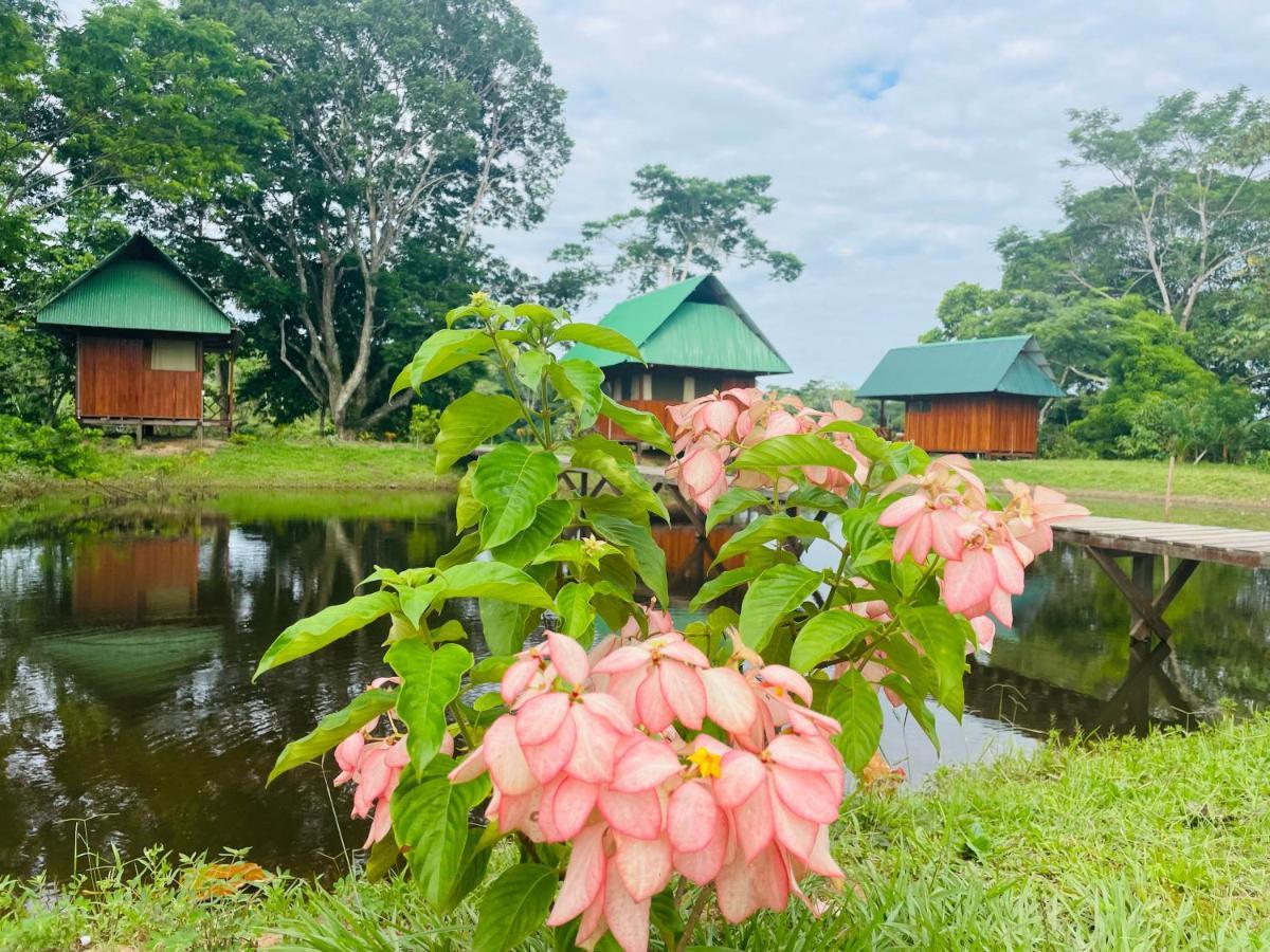 Sunrise Of Tambopata Vila Puerto Maldonado Exterior foto